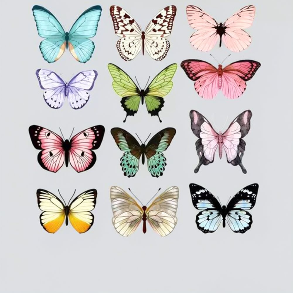 PVC 3D Butterfly Wall Art Real - Art And Craft For Nursery 评论和价格